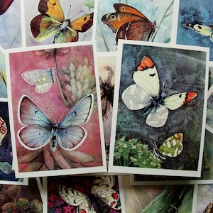 Schmetterling Vintage Postkarten 16er Set, Insektenpostkarten, 1975, Mottenillustration, Schmetterlinge Kunstdruck, Entomologie Collage, Naturmalerei