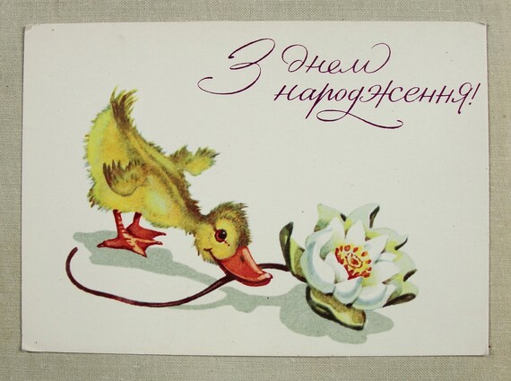 Little Duckling White Water Lily Card Vintage Ukrainian Etsy