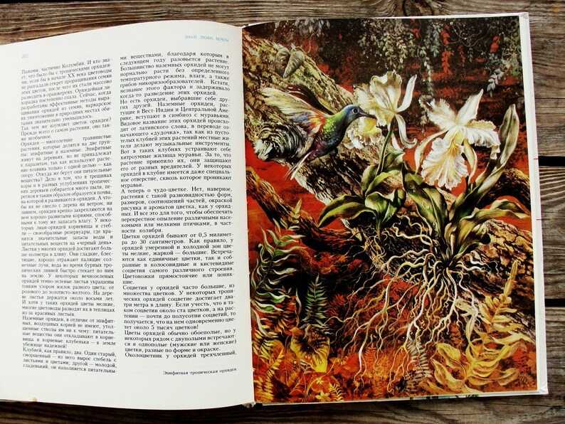 Rare Plants and Animals Vintage Book Illustrated Nature Book Etsy