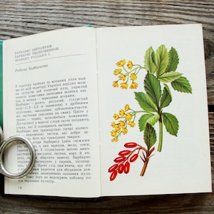 Forest Plants Mini Book, Vintage Botanical Book, 1983, Color Illustrated Guide, Wild Flower Picture, Woodland Tree, Healing Herb Art Print