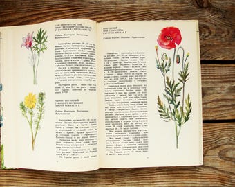 Vintage Illustrated Botanical Book, 1986, Herbaceous Plants Guide Book, Wild Flower Illustration, Nature Painting, Herbs Guide