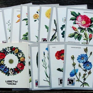 Set di 16 cartoline di fiori vintage, cartoline botaniche, 1986, stampa artistica di fiori selvatici, disegni di piante medicinali, pittura naturale