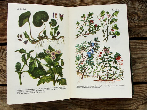 Healing Herbs Guide Book, Vintage Illustrated Botanical Book, 1989