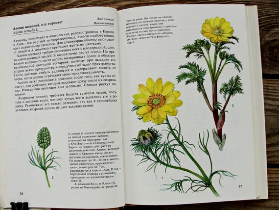 【2025年】お歳暮ギフト Garden Flower Book, Vintage Botanical Book, 1989, Alpine その他