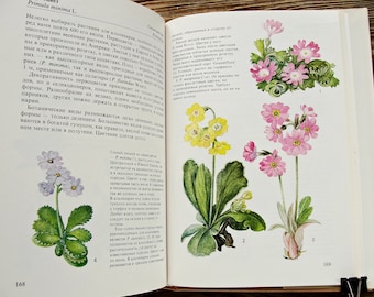 Garden Flower Book, Vintage Botanical Book, 1989, Alpine Garden Guide Book, Flower Illustration, Floriculture, Ornamental Plants Art Print