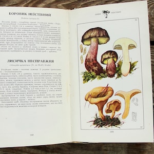 Vintage Illustriertes Pilzbuch, Botanisches Buch, 1979, Pilzführer, Pilzbild, Boletus Illustration, Pilzkunst, Naturmalerei