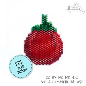 PDF Pattern, Tomato Sauce bottle, Peyote/Brick stitch seed bead earrings.