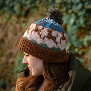 Ladies Luxury Woolen Hand Knitted Fleece Line Bobble Beanie Reindeer Pattern Wool Hat Lambland Womens Handmade in Nepal Fair Trade Wool