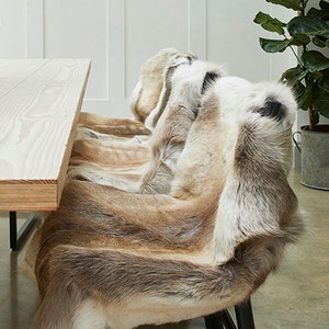 Premium Grade Extra Large Genuine Reindeer Hide with Natural Light Shade Markings