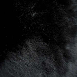 May include: Close-up of a black fur texture. The fur is soft and fluffy, with a slight sheen.