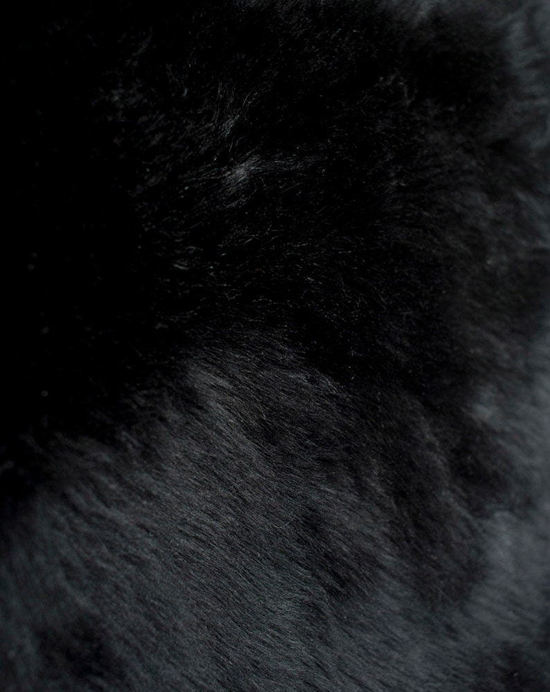 May include: Close-up of a black fur texture. The fur is soft and fluffy, with a slight sheen.
