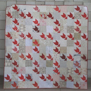 Puede incluir: Un patrón de colcha llamado "Cupidity" de Eye Candy Quilts. La colcha está hecha de tela roja y blanca y mide 152,4 cm por 152,4 cm.