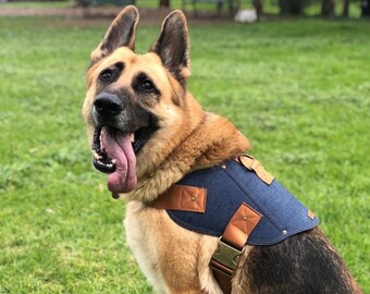 Dog harness, Denim dog harness, Large dog harness, Small dog harness, Dog denim, Designer dog harness