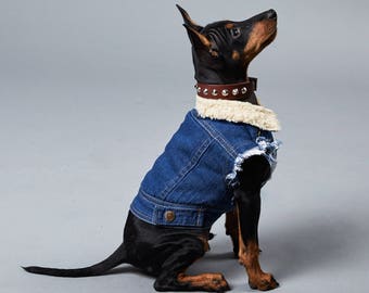 Denim Dog Vest / Dog Jacket / Sherpa Denim Dog Coat / Dog Denim / Cool Dog Jacket / Dog Vest / Dog Harness / Dog Denim/ Winter dog coat