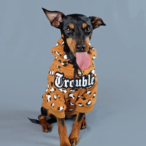 Custom Dog Hoodie,Personalised Dog hoodie, Leopard dog hoodie  Custom dog sweatshirt, Personalised dog gift, Dog coat,  Large dog coat,