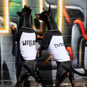 Chemise personnalisée pour chien / Tee-shirt pour chien - / Chemise pour chien personnalisée / T-shirt pour chien Raglan / Cadeau pour chien