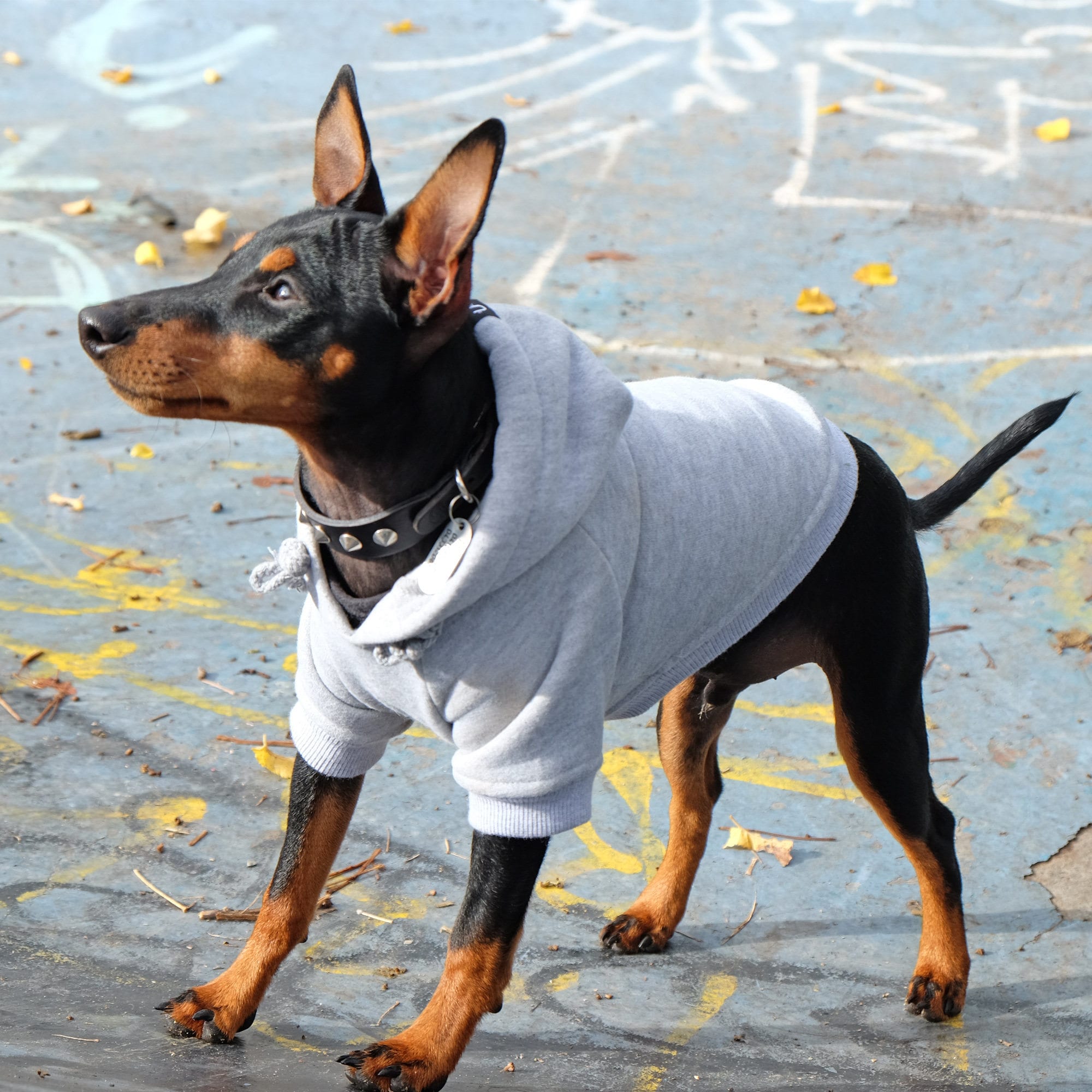 Personalised Embroidered Dog Collar Tan & Denim - PetHaus