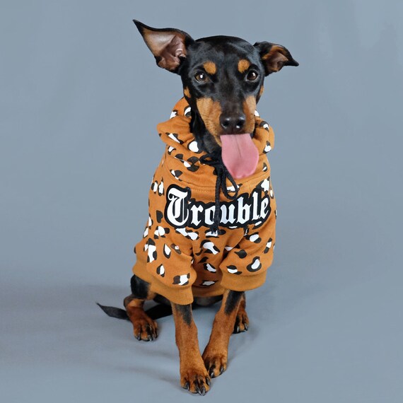 Personalised dog online hoodie