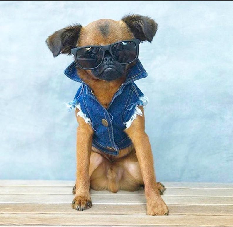 Denim Dog Jacket / Denim Dog Vest /Dog Coat / Dog Denim / Dog Vest / Denim Vest for Large Dog / Heavy Metal Dog / Large dog coat image 7