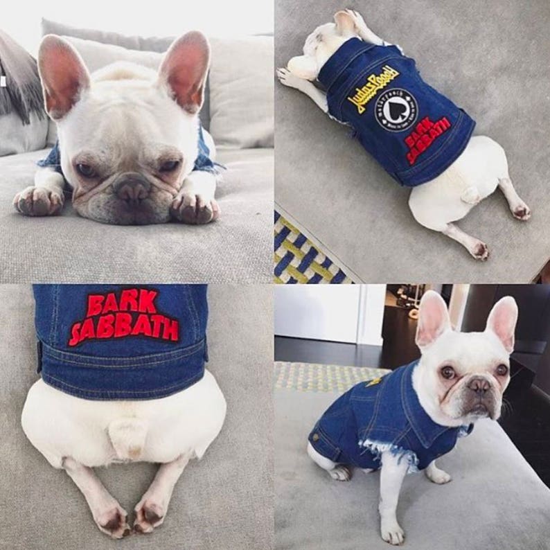 Denim Dog Jacket / Denim Dog Vest / Dog Jacket / Dog Vest / Etsy