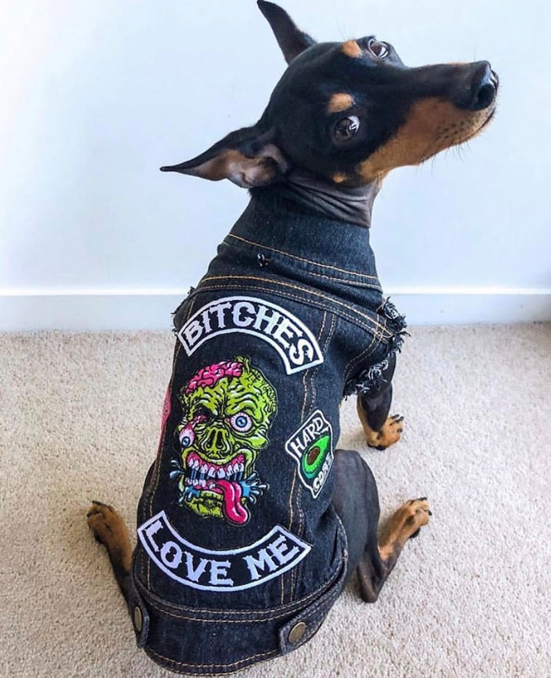 Dog Jacket / Dog Vest / Custom Dog Jacket / Custom Dog Vest / Etsy