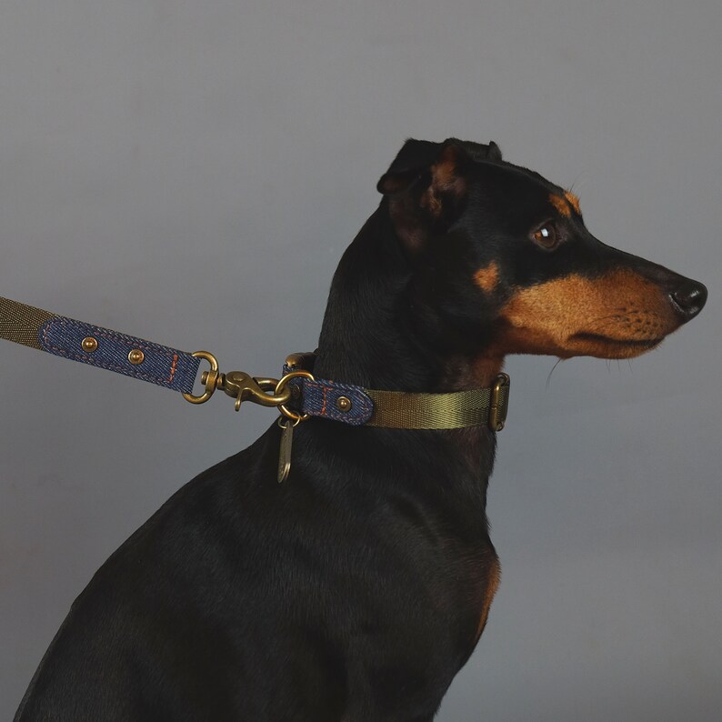 Denim Dog Leash Green Dog Leash Dog Leash