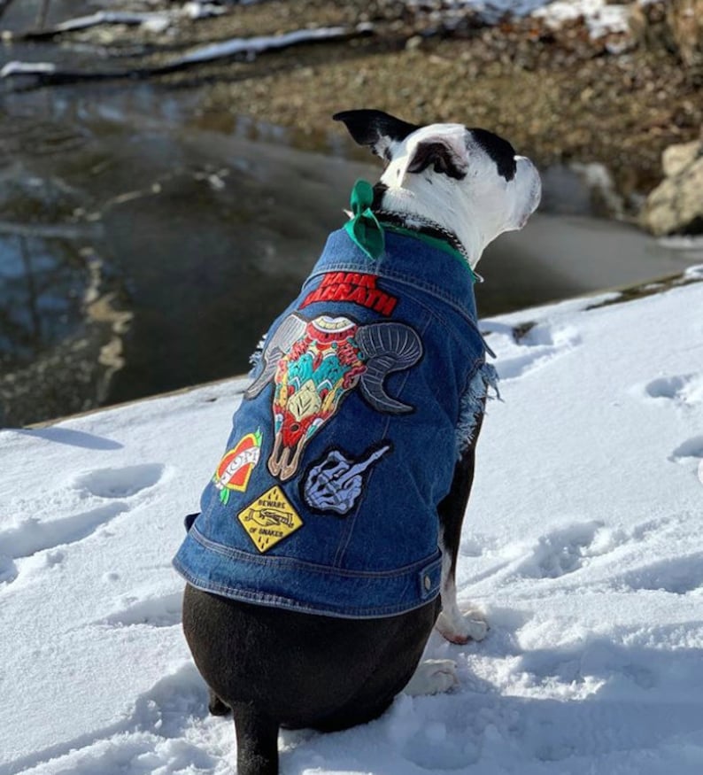 Denim Dog Vest Custom Patched / Large Breed Denim Dog Coat / Etsy