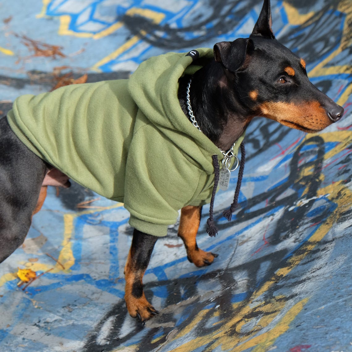 Army Green Dog Hoodie Dog Hoodie Large Dog Hoodie Dog Etsy