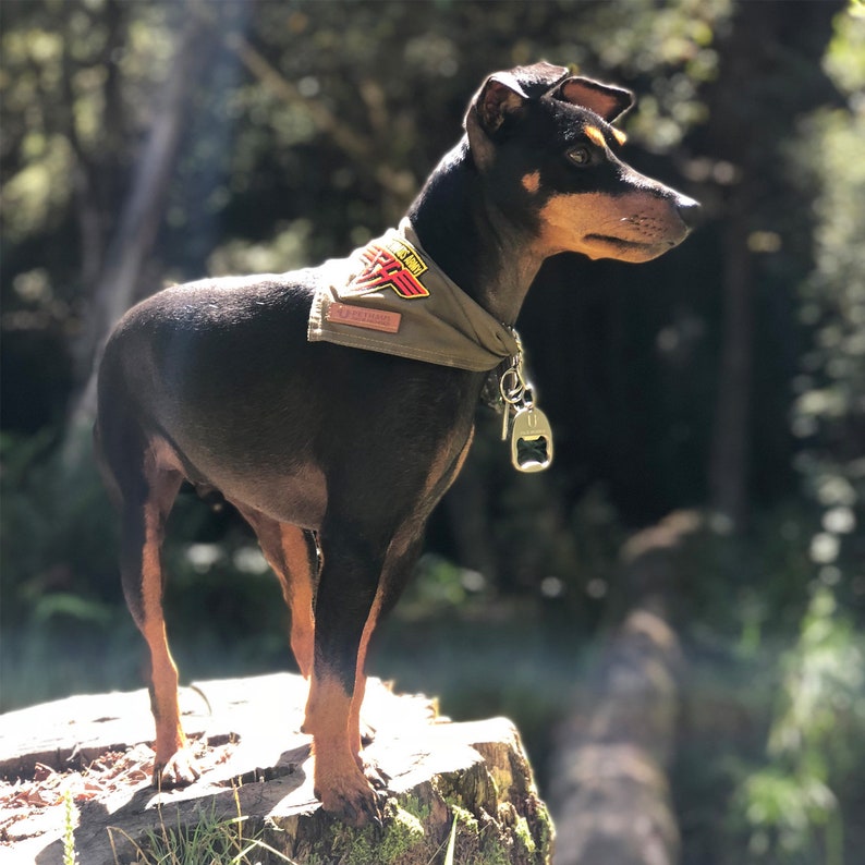 Army Dog Bandana Army Green Dog Bandana Dog Bandana With Etsy Australia