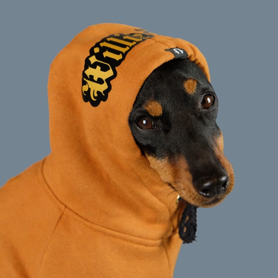 Personalised dog hoodie sale