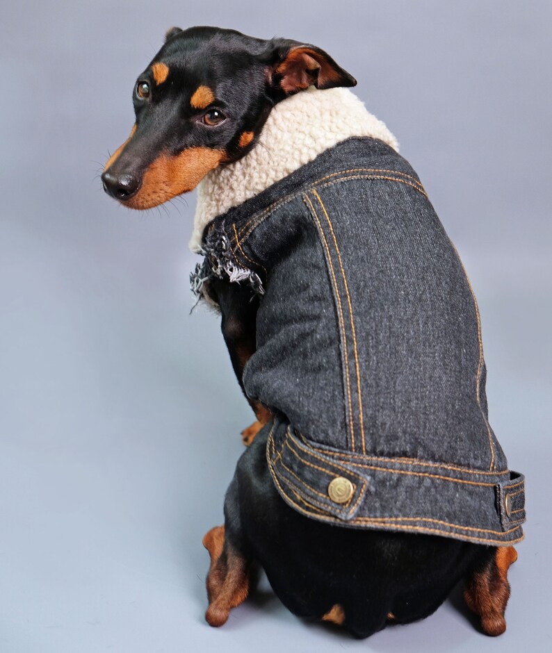 Denim Dog Vest / Denim Dog Jacket / Dog Jacket / Sherpa Dog Etsy