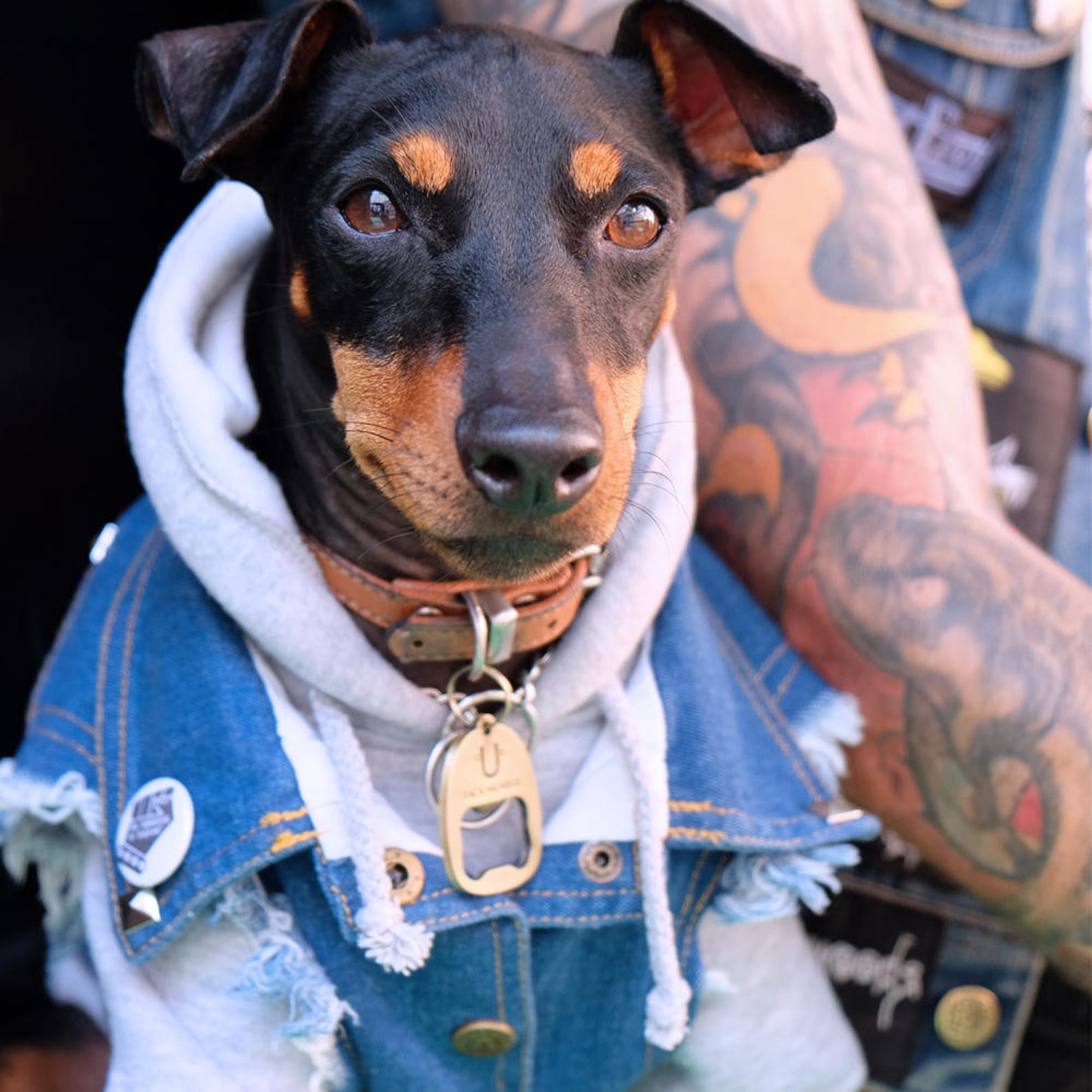 Grey Dog Hoodie Dog Hoodie Large Dog Hoodie Dog Sweatshirt Etsy