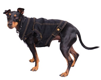 Black Denim Dog Vest /  Black Denim Dog Jacket/ Dog Jacket / Black Dog Vest /  Denim Dog Vest / Metal Dog Jacket / Dog Jacket / Dog Denim
