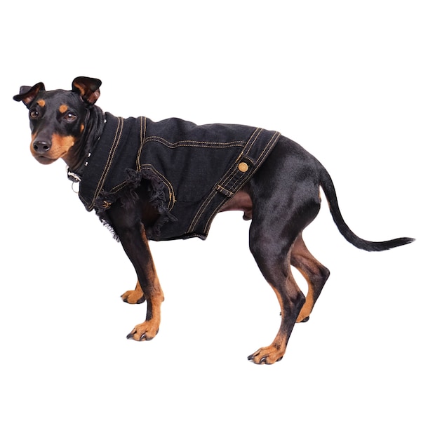 Black Denim Dog Vest /  Black Denim Dog Jacket/ Dog Jacket / Black Dog Vest /  Denim Dog Vest / Metal Dog Jacket / Dog Jacket / Dog Denim