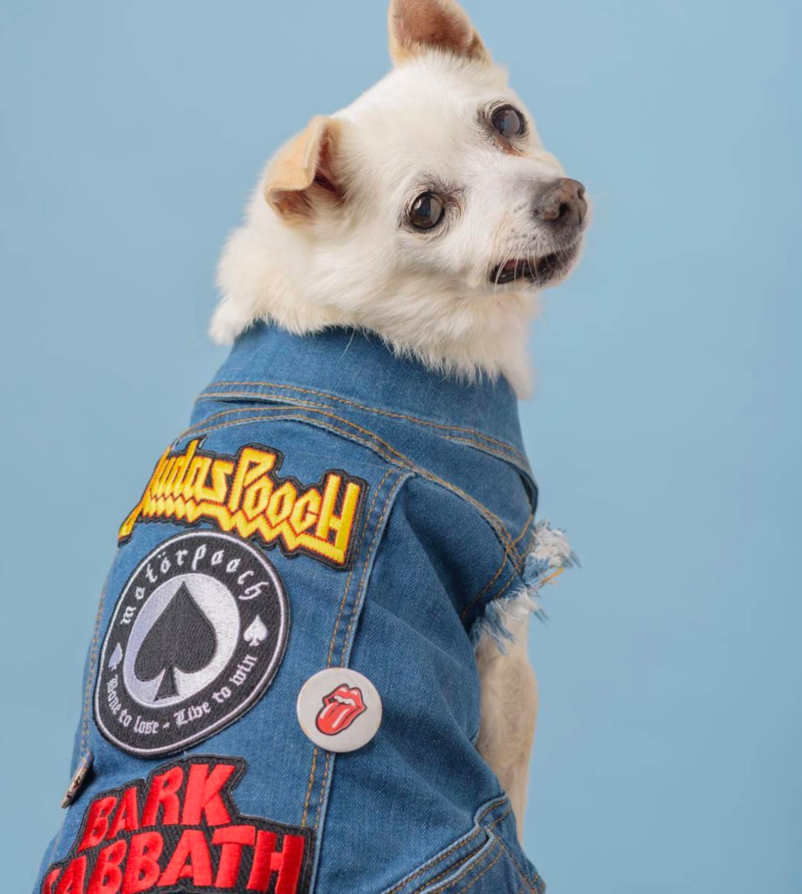 Denim Dog Jacket / Denim Dog Vest / Dog Jacket / Dog Vest / Etsy