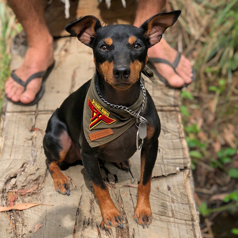 Army Dog Bandana Army Green Dog Bandana Dog Bandana With Etsy Australia