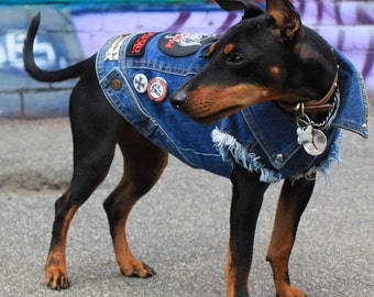 Dog Jacket / Dog Vest / Custom Dog Jacket / Custom Dog Vest / Denim Dog Vest / Denim Dog Jacket / Custom Dog Clothing / Metal Dog Jacket /