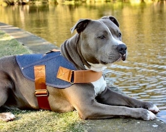 Dog harness, Denim dog harness, Large dog harness, Small dog harness, Dog denim, Designer dog harness