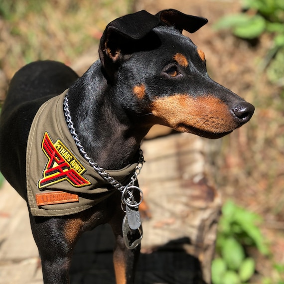 Personalised Embroidered Dog Collar Tan & Denim - PetHaus