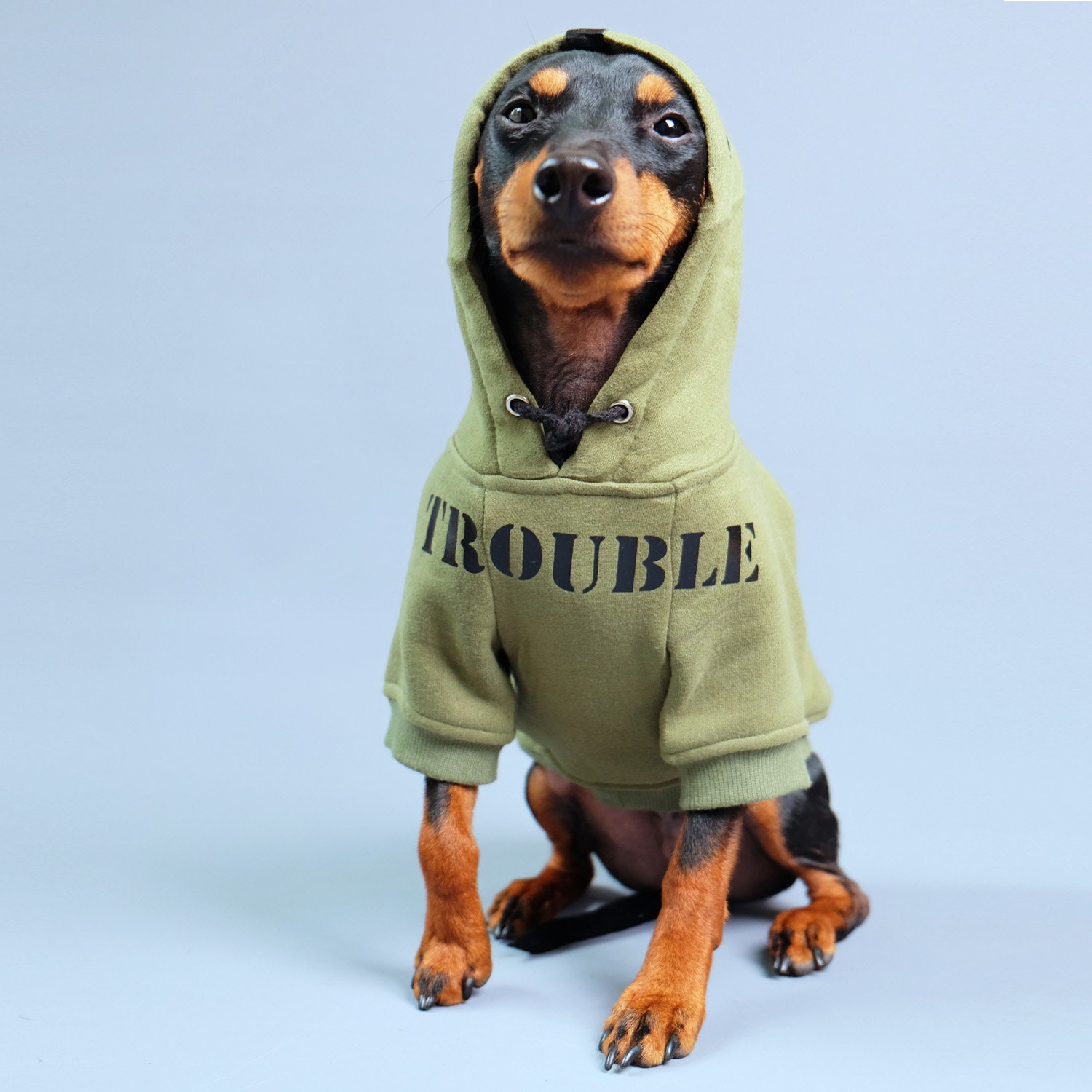 geld Teleurstelling eetbaar Aangepaste hond hoodie hond hoodie leger hond hoodie groene - Etsy België