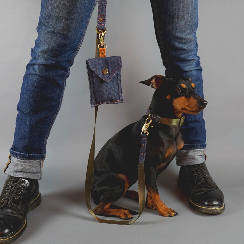 Denim Dog Leash Green Dog Leash Dog Leash