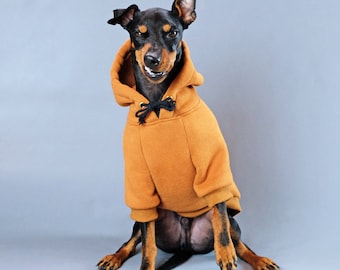 Mark todd dog offers coat