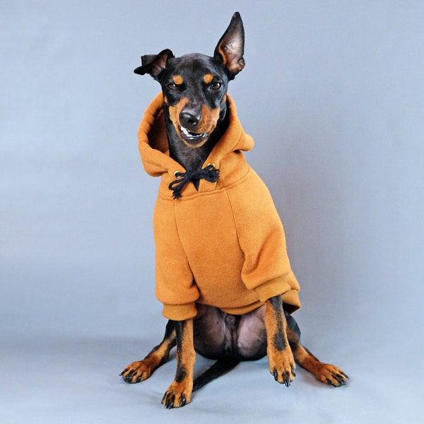 Tan Dog Hoodie, Dog hoodie, Dog Sweatshirt, Dog Coat, Large dog Coat, Small Dog Coat