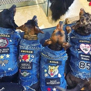 Denim Dog Vest Custom Patched / Large Breed Denim Dog Coat / Dog Denim / Denim Dog Jacket / Denim Dog Vest / Custom Dog coat image 4