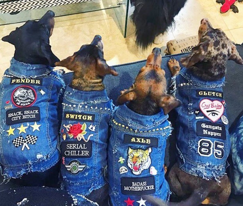 Denim Dog Vest Custom Patched / Large Breed Denim Dog Coat / Dog Denim / Denim Dog Jacket / Denim Dog Vest / Custom Dog coat image 4