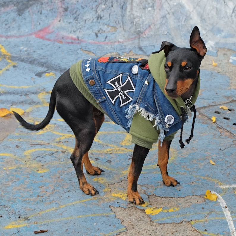 Army Green Dog Hoodie Dog Hoodie Large Dog Hoodie Dog Etsy