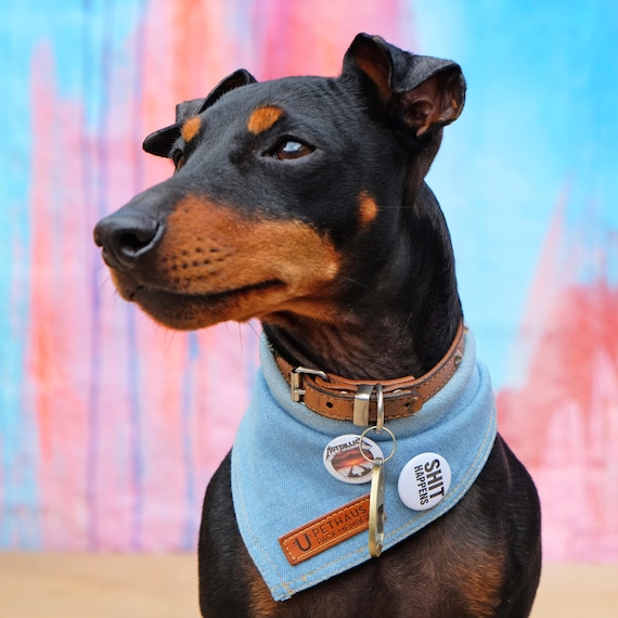 Denim dog bandana hotsell