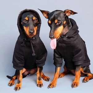 Black Dog Hoodie, Dog Hoodie, Large Dog Hoodie, Dog Sweatshirt, Black dog sweatshirt, Cool Dog Hoodie,