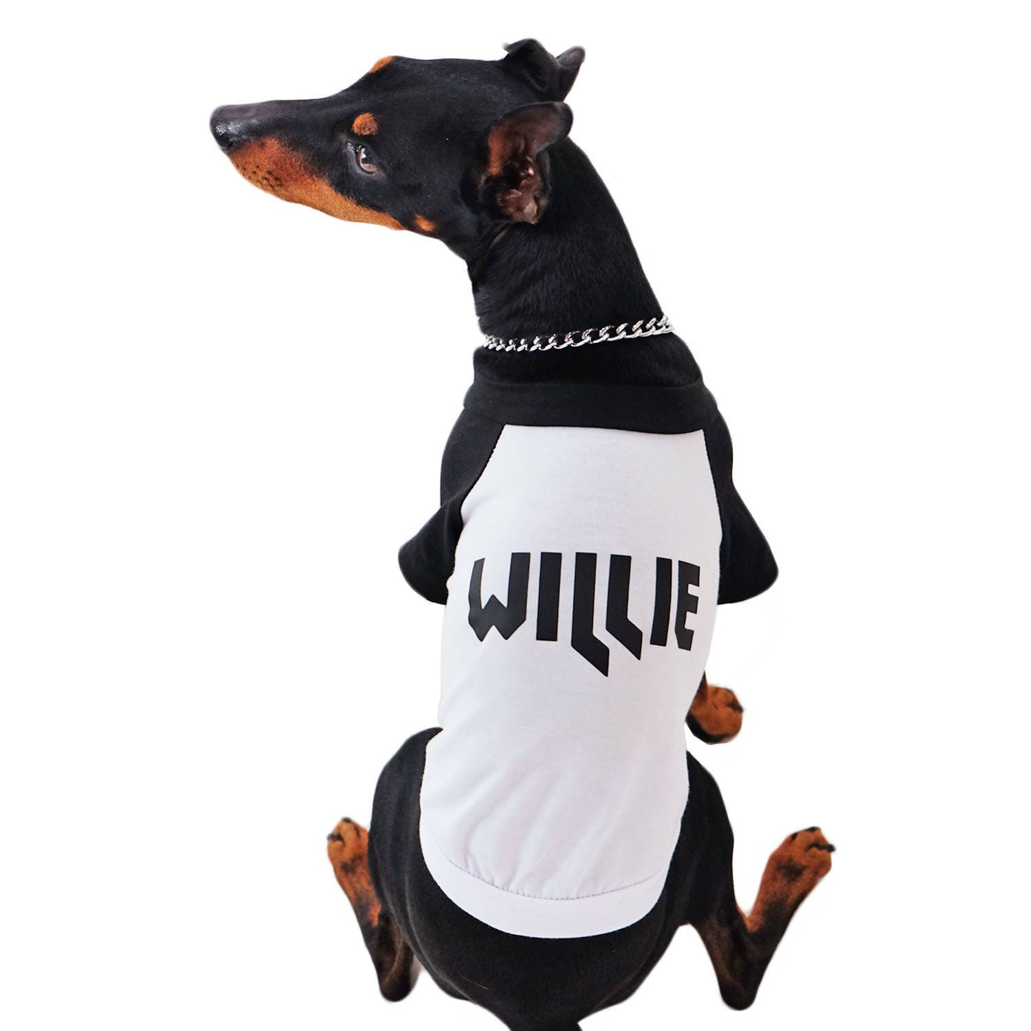 personalized dog jersey