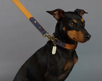 Dog Leash, Denim Dog Leash, Tan Dog Leash